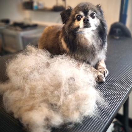 De-Shed Treatment
