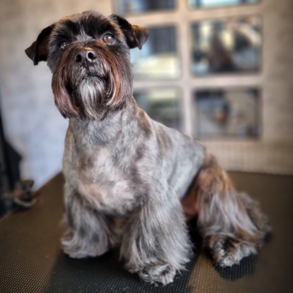 Full Groom